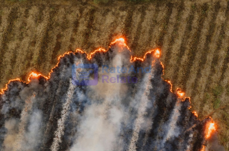 Wildfire Detection from Space — How Satellites Save Lives