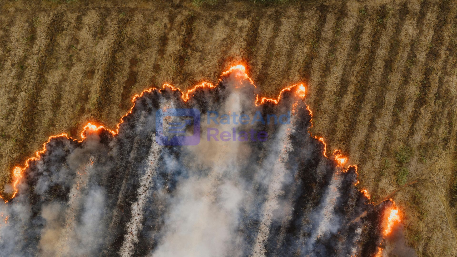 Wildfire Detection from Space — How Satellites Save Lives