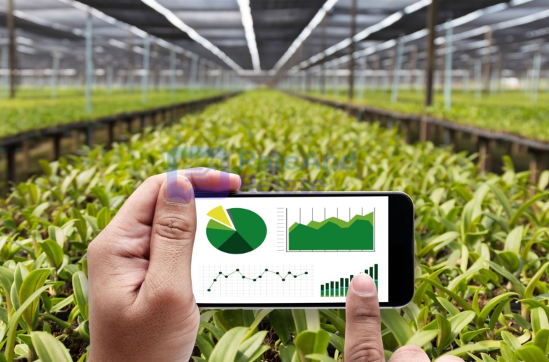 Agricultural Reforms in India – MSP, Crop Insurance, and Agri-Tech Initiatives Driving Rural Transformation