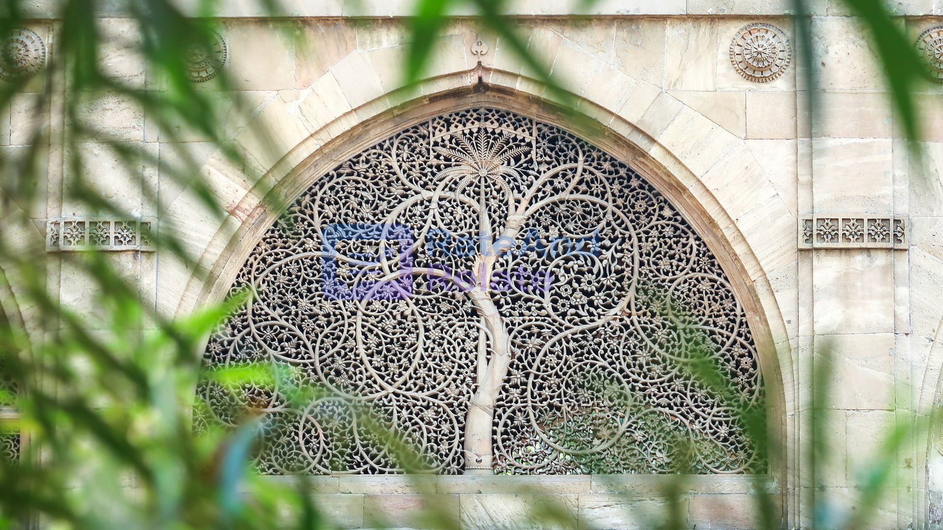 Ahmedabad Chosen as Host City for the 2030 Commonwealth Games: A Historic Leap for India