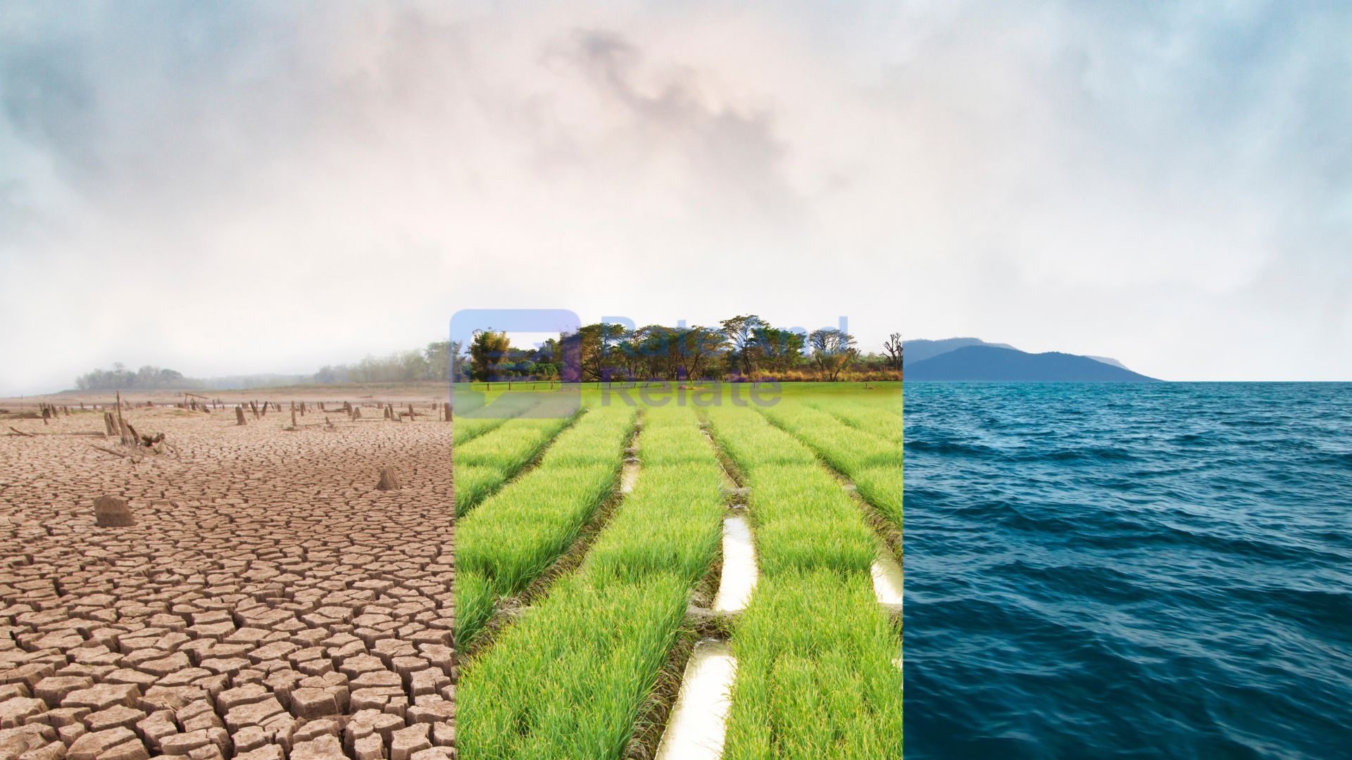 AI and Climate Science – Predicting the Planet’s Future