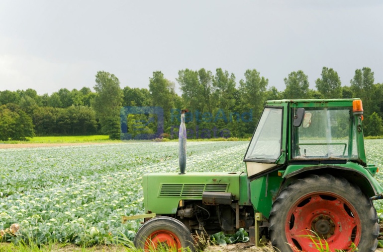 Smart Agriculture, Clean Energy, and Data-Driven Community Programs: Transforming the Future of Sustainable Development
