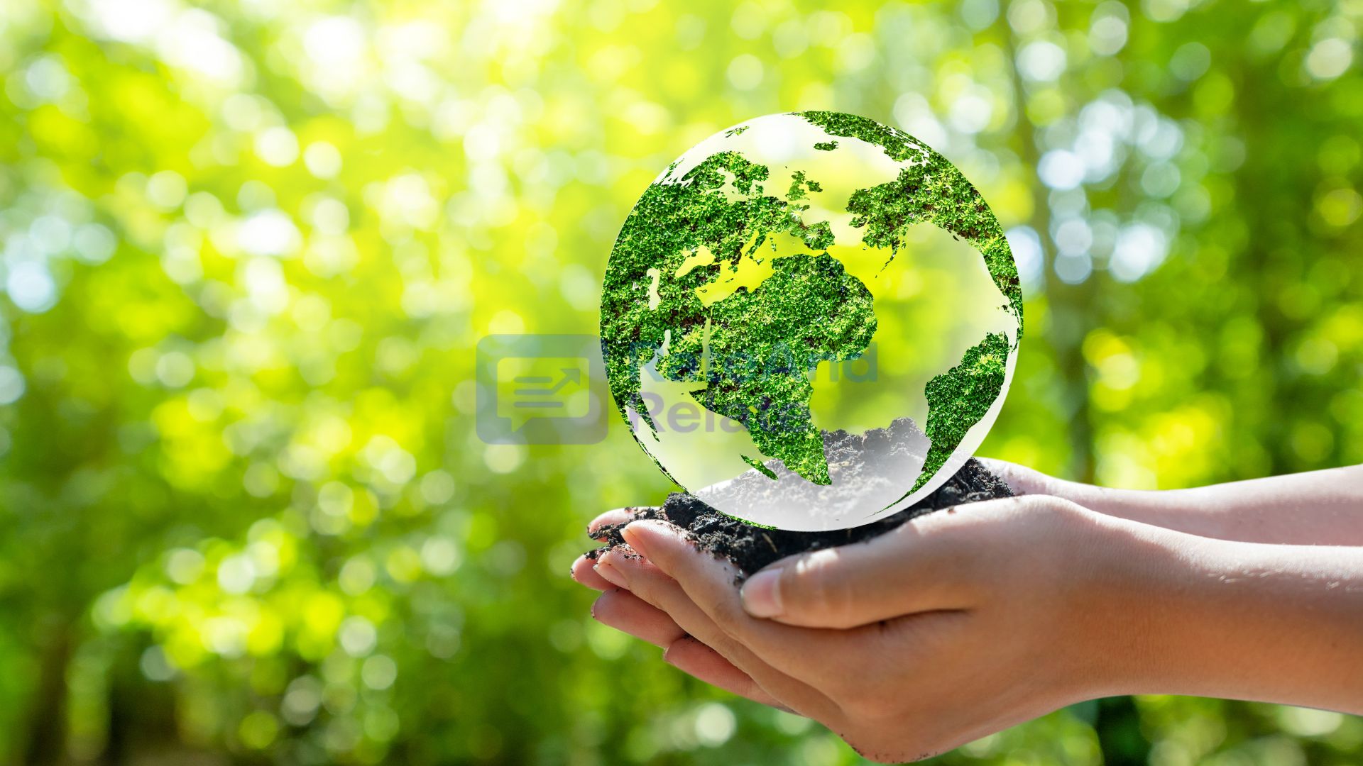 How AI Is Learning to “Listen” to Forests Before They Die